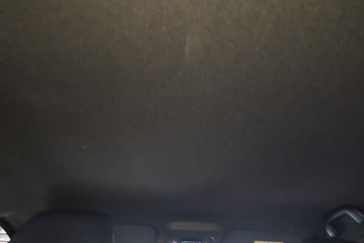 Used BYD Seagull 2023 Flying Edition Headliner