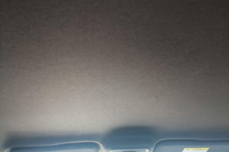 Used BYD Seagull 2023 Free Edition Headliner