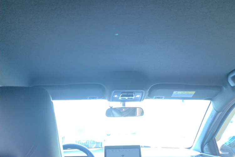 Used BYD Seagull 2023 Flying Edition Headliner