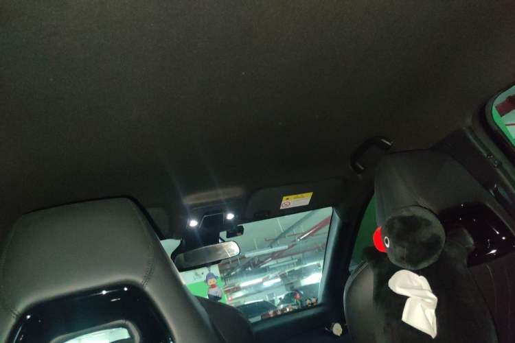 Used BYD Seagull 2023 Flying Edition Headliner
