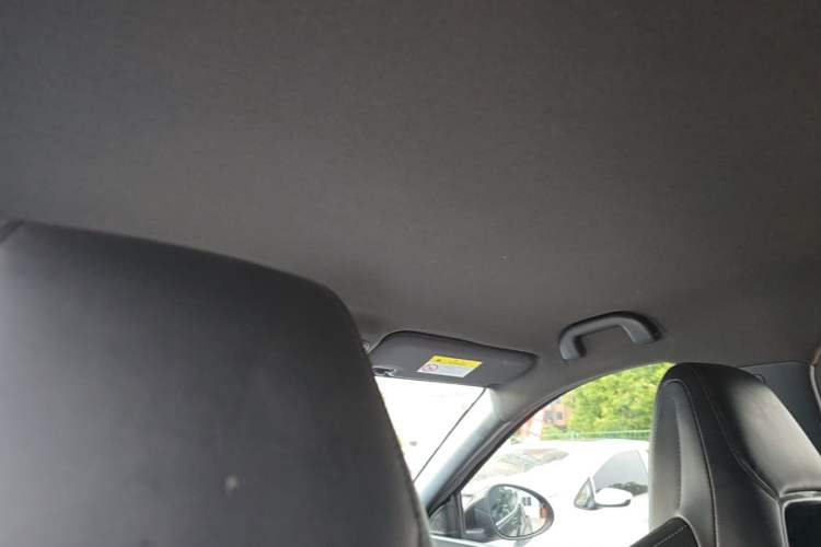 Used BYD Seagull 2023 Free Edition Headliner