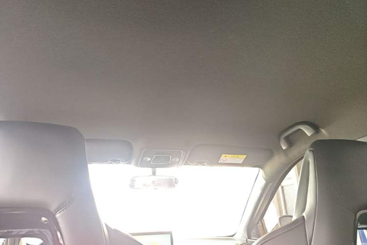 Used BYD Seagull 2023 Free Edition Headliner