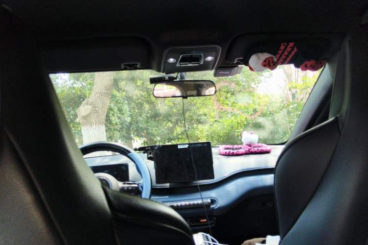 Used BYD Seagull 2023 Flying Edition Headliner