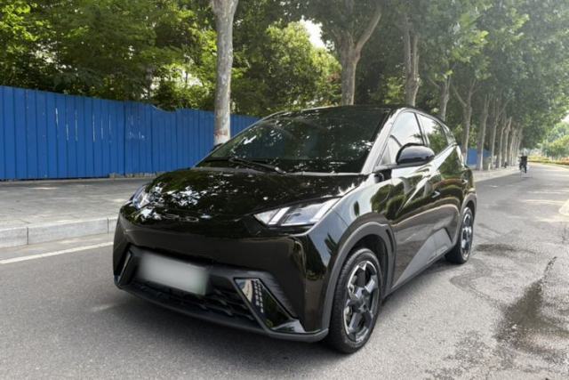 Used BYD Seagull 2023 Flying Edition