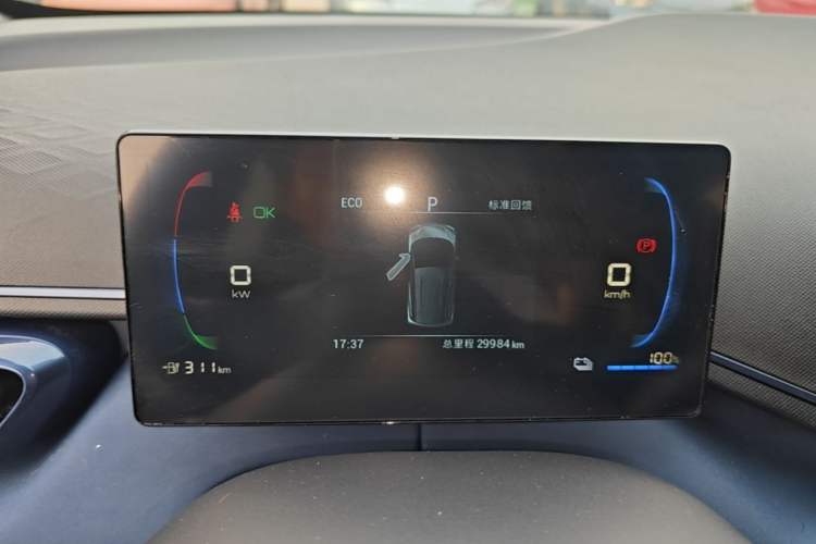 Used BYD Seagull 2023 Free Edition Instrument Cluster