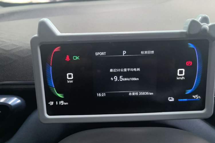 Used BYD Seagull 2023 Active Version Instrument Cluster
