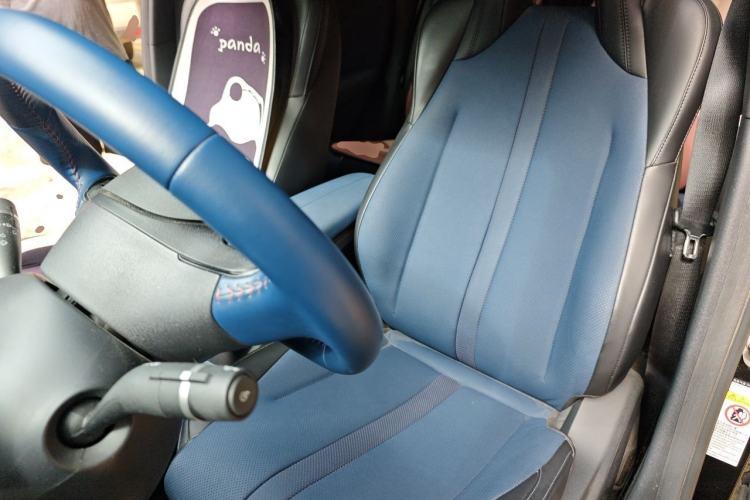 Used BYD Seagull 2023 Flying Edition Left Front Seat