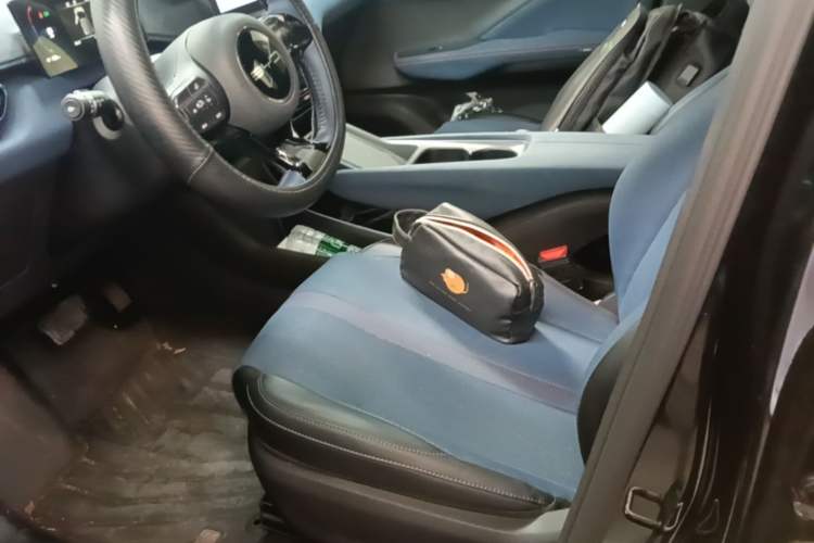 Used BYD Seagull 2023 Free Edition Left Front Seat