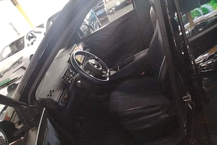 Used BYD Seagull 2023 Free Edition Left Front Seat