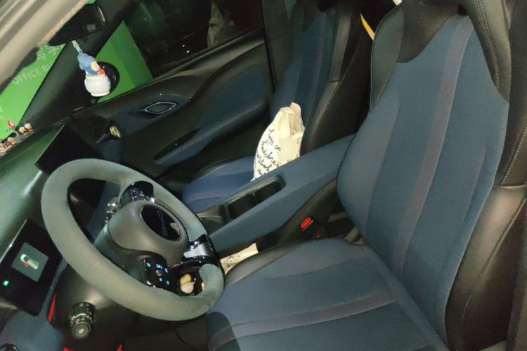 Used BYD Seagull 2023 Flying Edition Left Front Seat