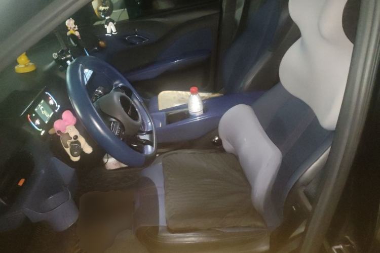 Used BYD Seagull 2023 Free Edition Left Front Seat