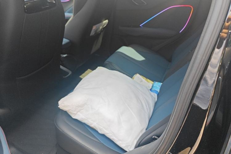 Used BYD Seagull 2023 Flying Edition Left Rear Seat