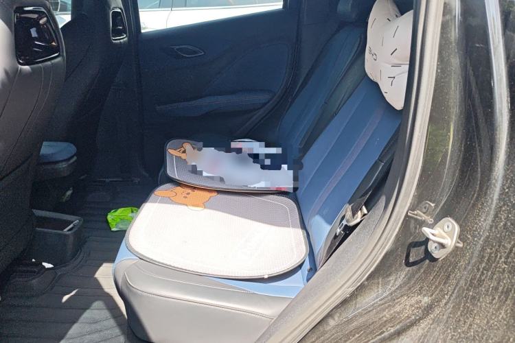Used BYD Seagull 2023 Active Version Left Rear Seat