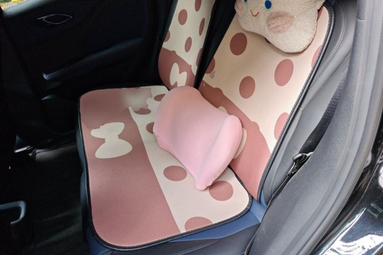 Used BYD Seagull 2023 Flying Edition Left Rear Seat