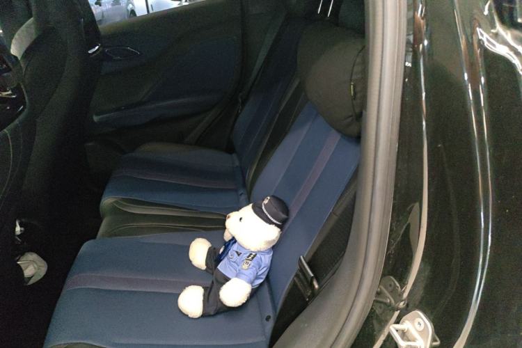 Used BYD Seagull 2023 Free Edition Left Rear Seat