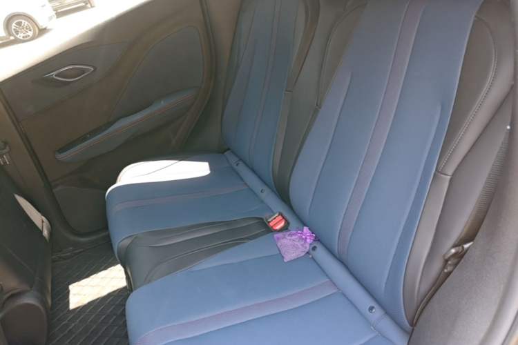 Used BYD Seagull 2023 Free Edition Left Rear Seat