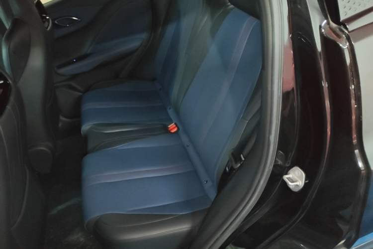 Used BYD Seagull 2023 Flying Edition Left Rear Seat