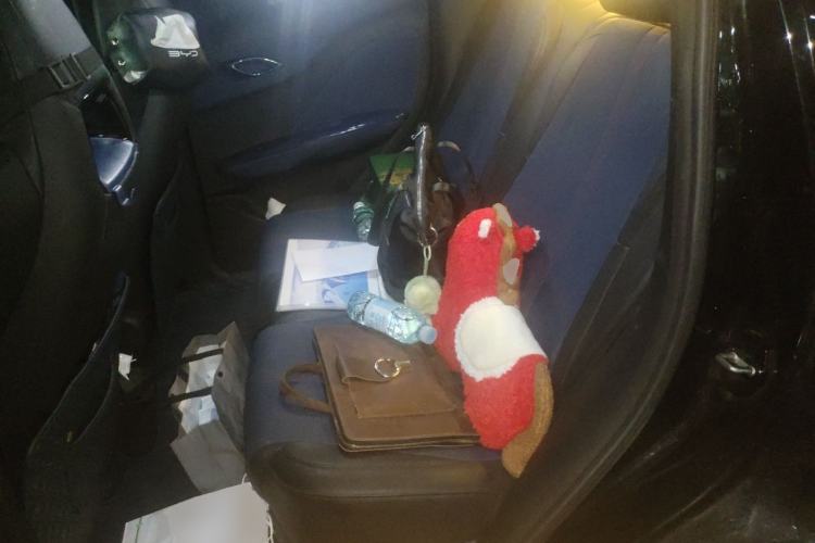 Used BYD Seagull 2023 Free Edition Left Rear Seat