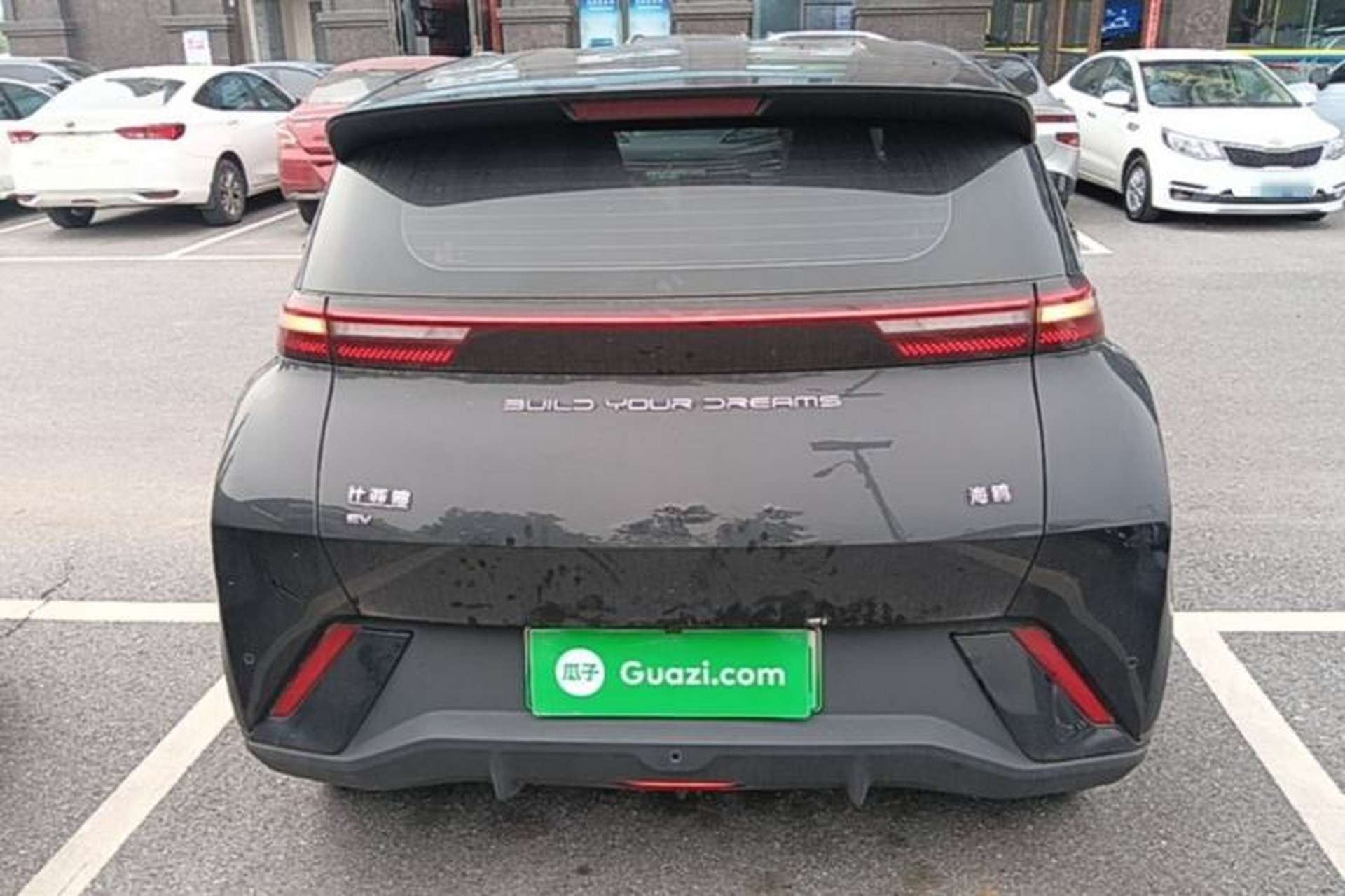 Used BYD Seagull 2023 Flying Edition Rear