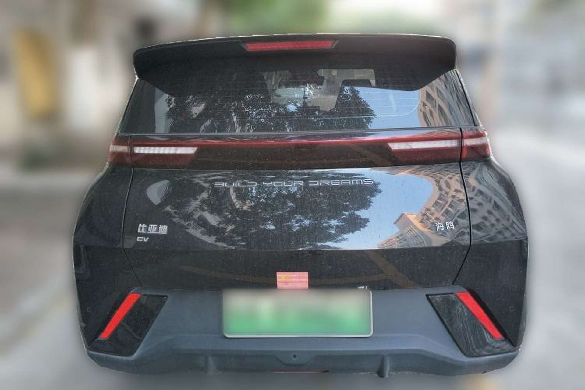 Used BYD Seagull 2023 Flying Edition Rear