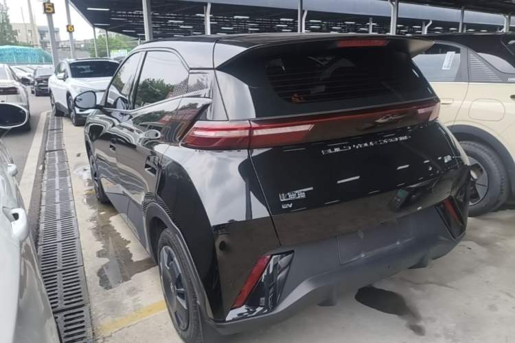 Used BYD Seagull 2023 Active Version Rear Left 45 Deg