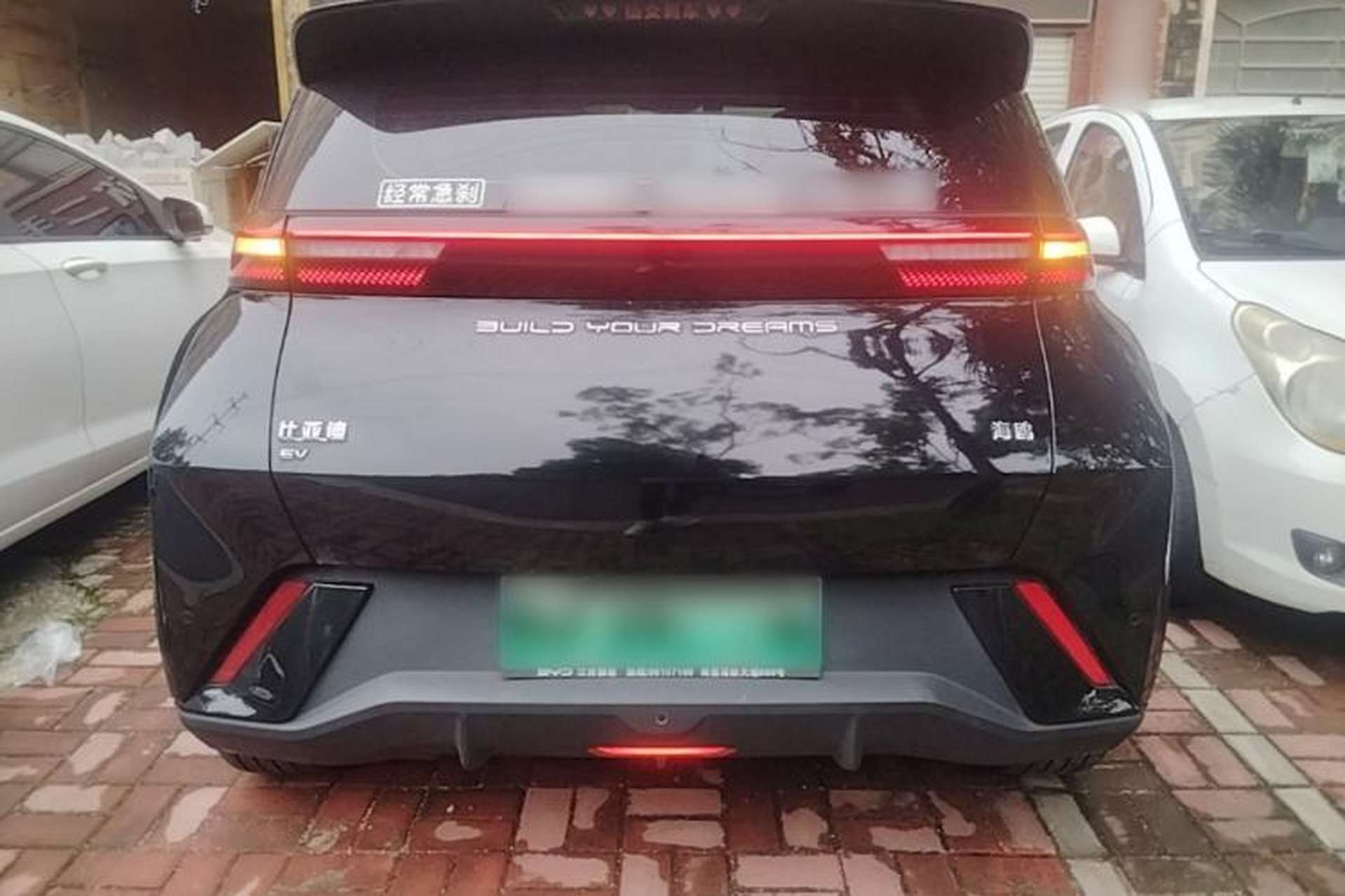 Used BYD Seagull 2023 Free Edition Rear