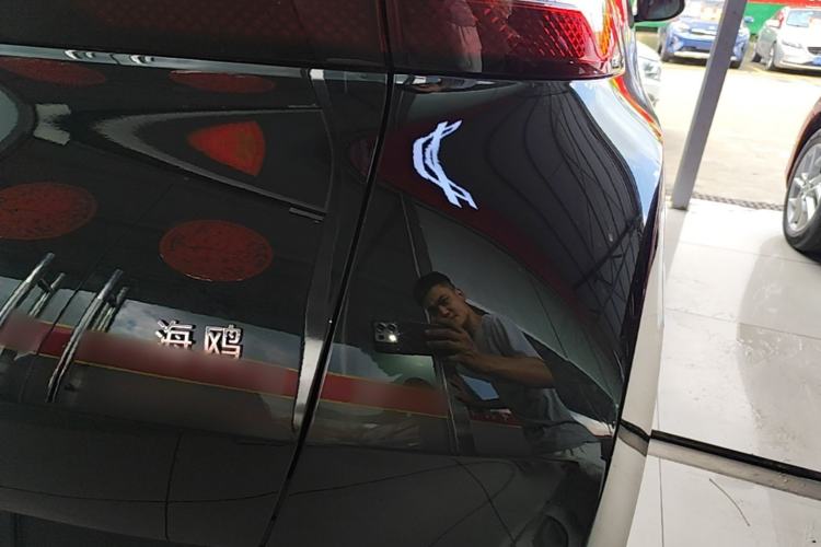 Used BYD Seagull 2023 Flying Edition Right Rear Taillight