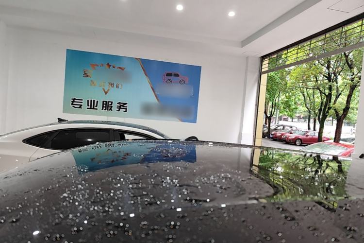 Used BYD Seagull 2023 Free Edition Roof