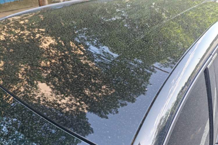 Used BYD Seagull 2023 Flying Edition Roof