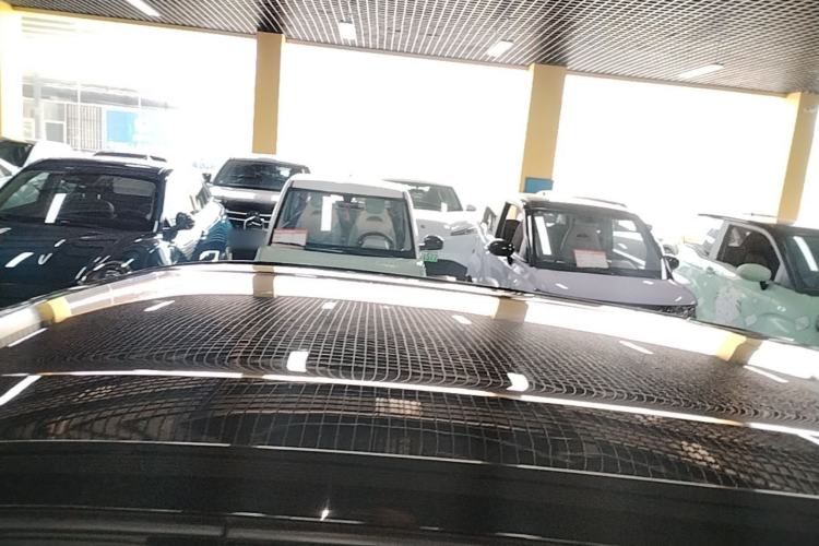 Used BYD Seagull 2023 Free Edition Roof