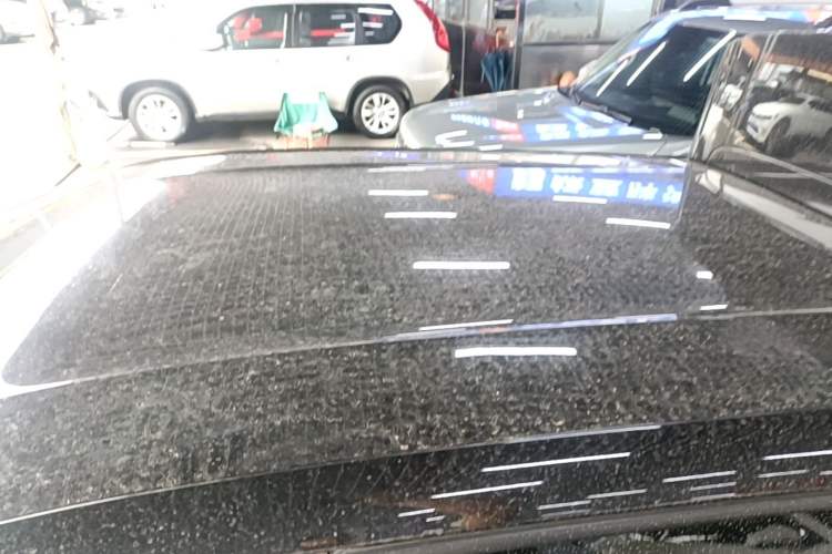 Used BYD Seagull 2023 Free Edition Roof