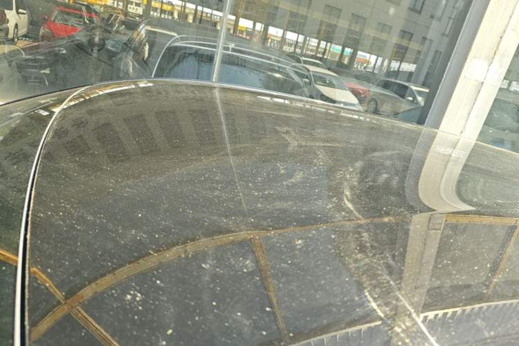 Used BYD Seagull 2023 Free Edition Roof