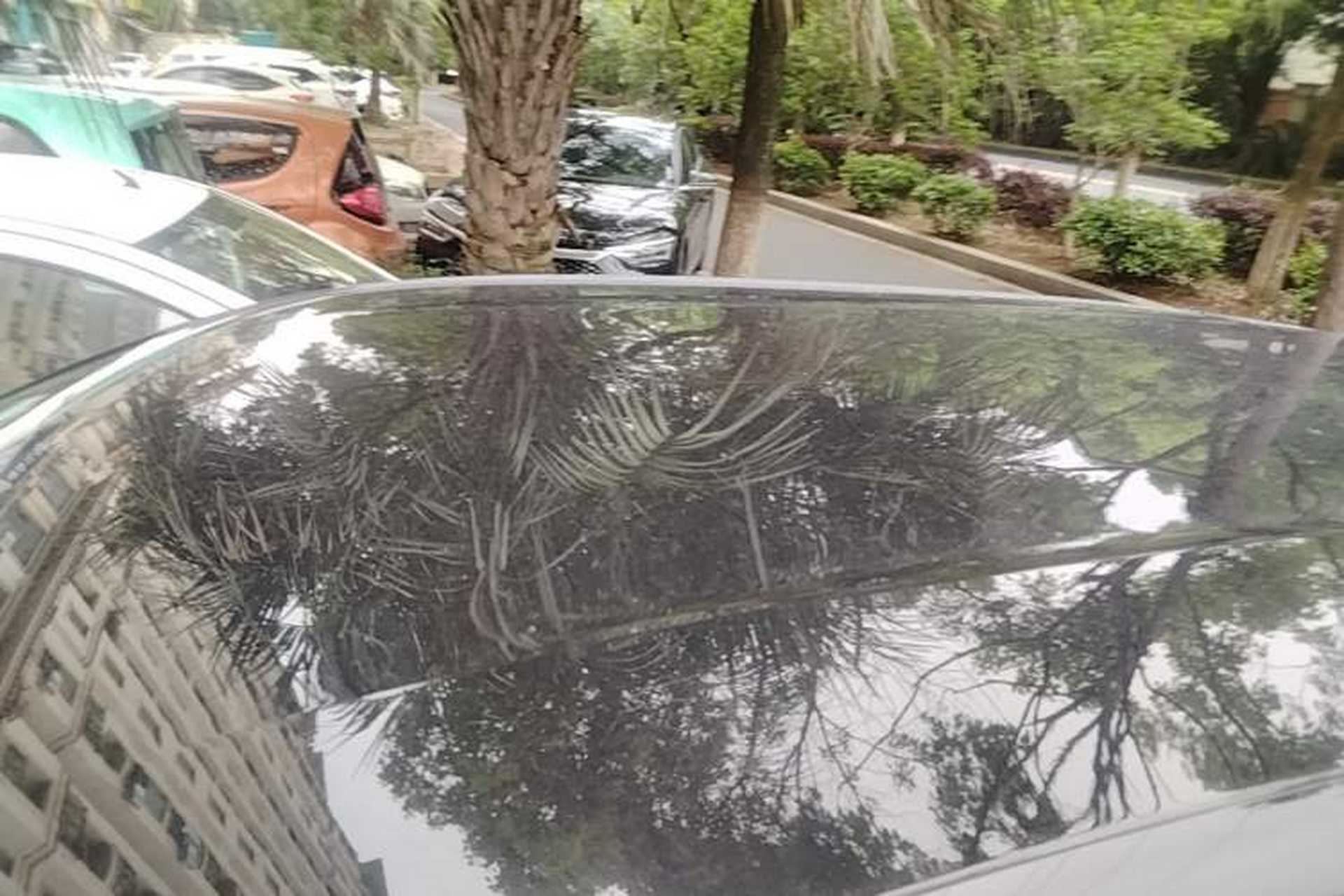 Used BYD Seagull 2023 Free Edition Roof