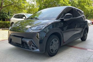 Used BYD Seagull 2023 Active Version