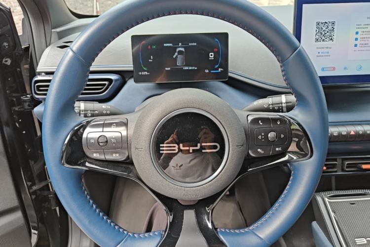 Used BYD Seagull 2023 Free Edition Steering Wheel