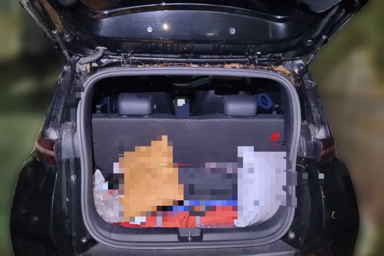 Used BYD Seagull 2023 Flying Edition Trunk