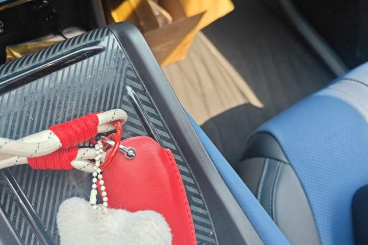 Used BYD Seagull 2023 Flying Edition Vehicle Key