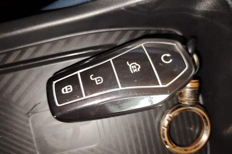 Used BYD Seagull 2023 Flying Edition Vehicle Key