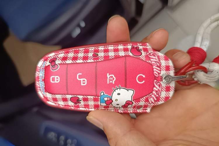 Used BYD Seagull 2023 Flying Edition Vehicle Key