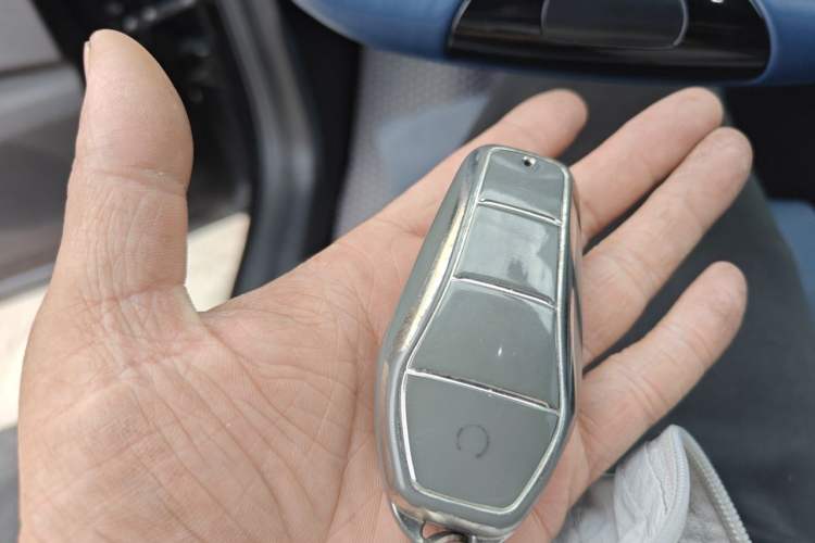 Used BYD Seagull 2023 Flying Edition Vehicle Key