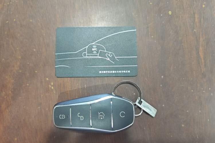 Used BYD Seagull 2023 Free Edition Vehicle Key