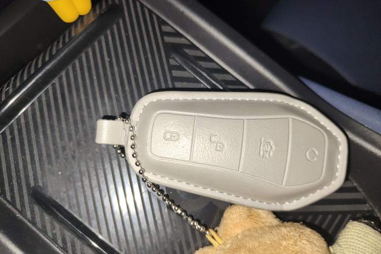 Used BYD Seagull 2023 Flying Edition Vehicle Key