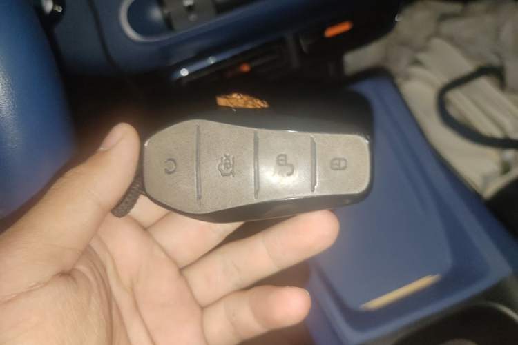 Used BYD Seagull 2023 Free Edition Vehicle Key