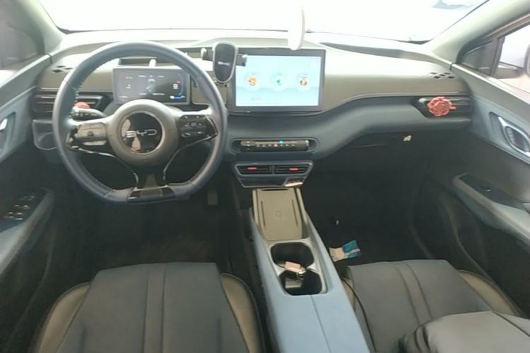 Used BYD Seagull 2023 Active Version Center Console