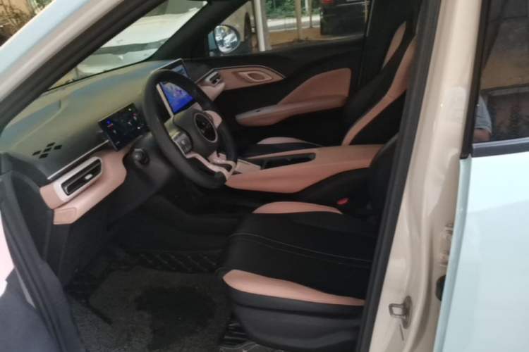 Used BYD Seagull 2023 Free Edition Left Front Seat