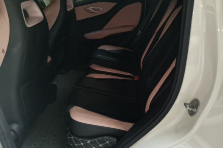 Used BYD Seagull 2023 Free Edition Left Rear Seat