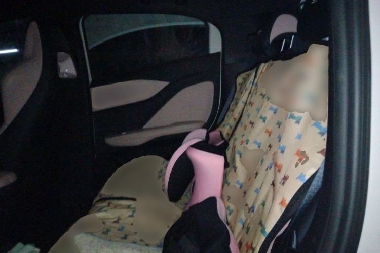 Used BYD Seagull 2023 Active Version Left Rear Seat