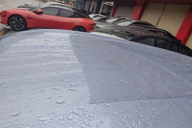 Used BYD Seagull 2023 Free Edition Roof