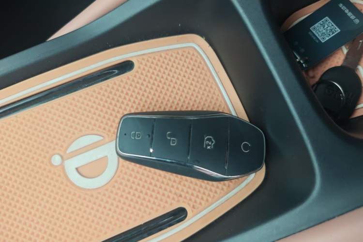 Used BYD Seagull 2023 Free Edition Vehicle Key