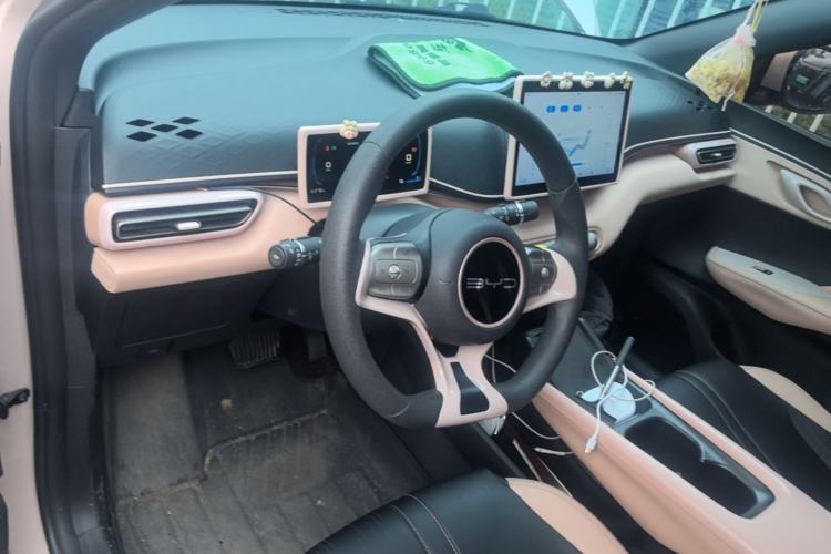 Used BYD Seagull 2023 Active Version Center Console
